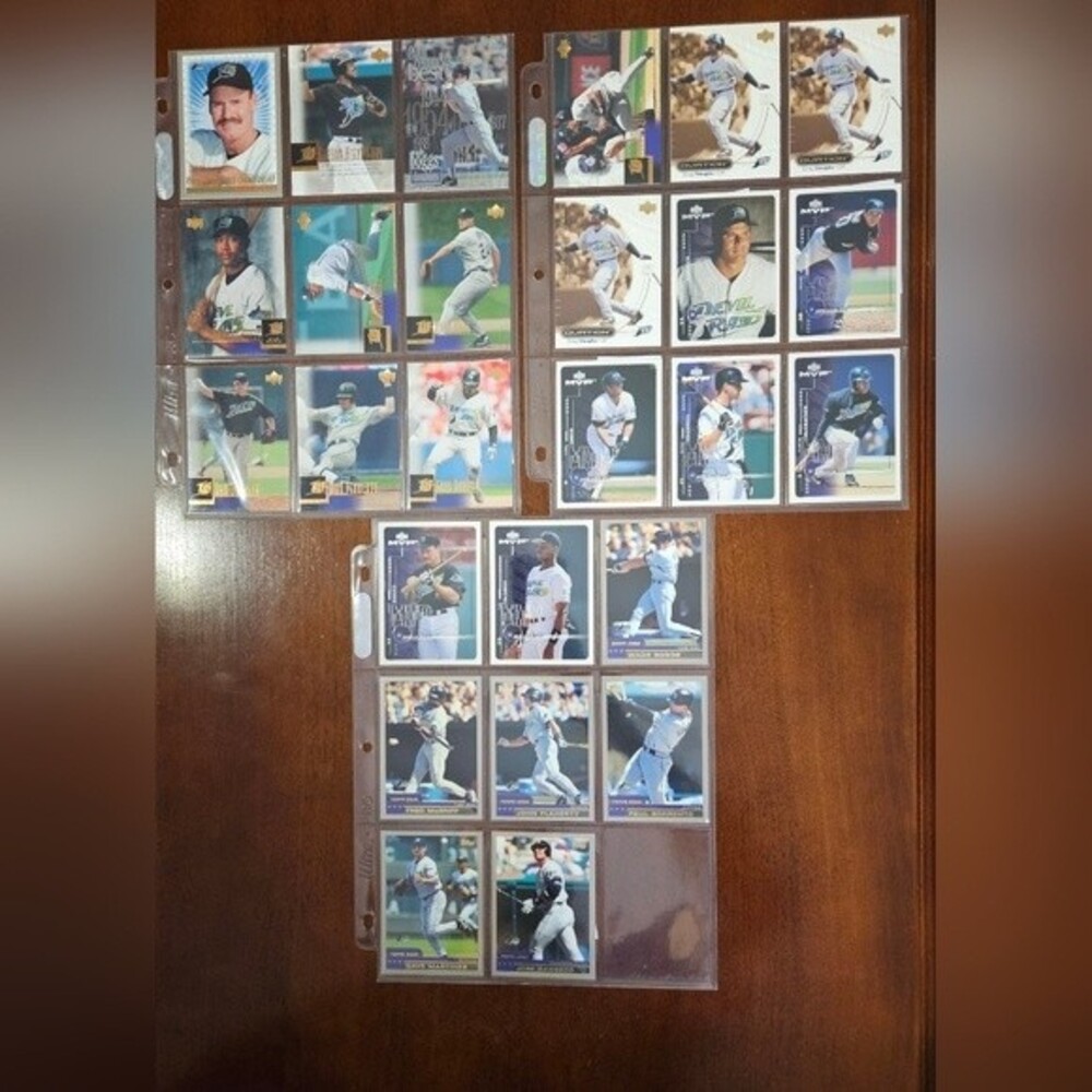 MLB Tampa Bay Devil Rays Card Collection